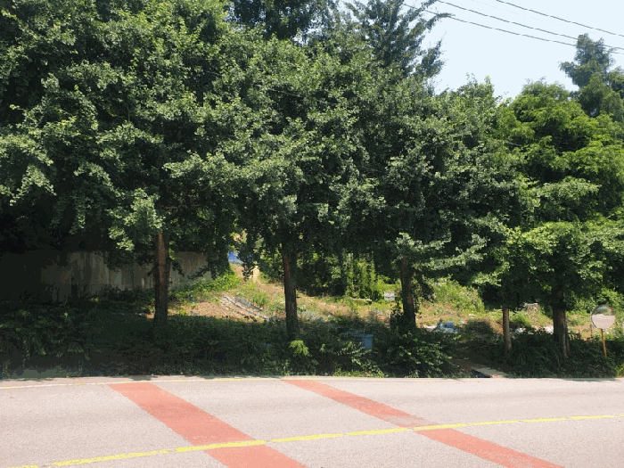 사진 1