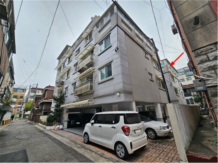 사진 10