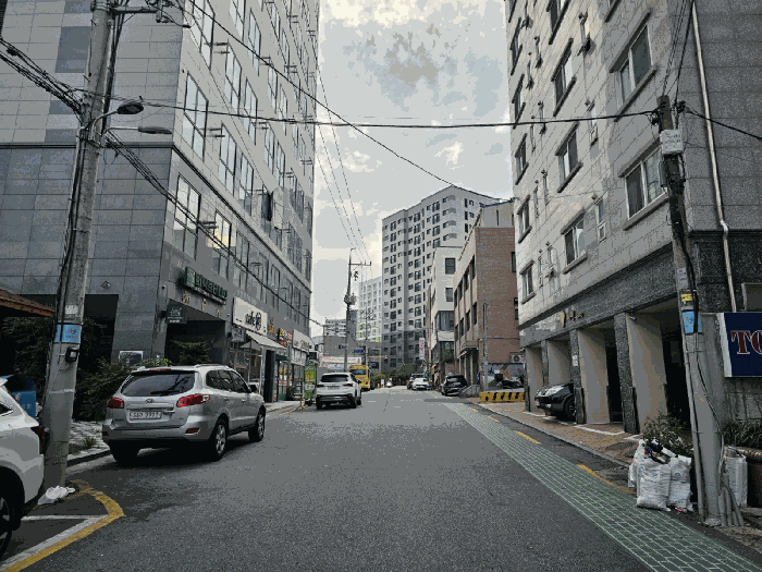 사진 11