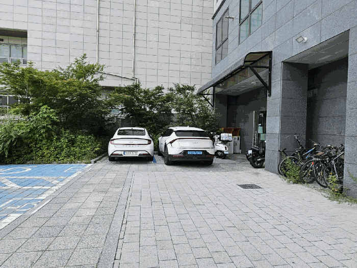 사진 5