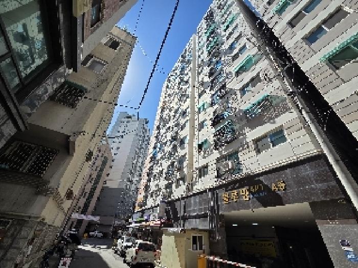 사진 1