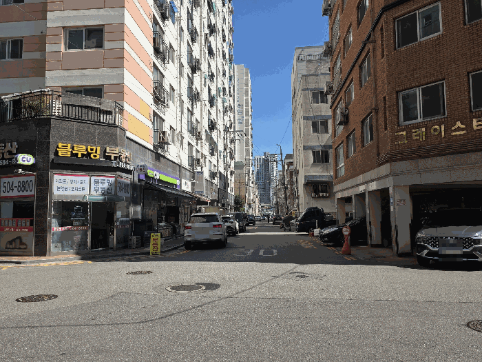 사진 15