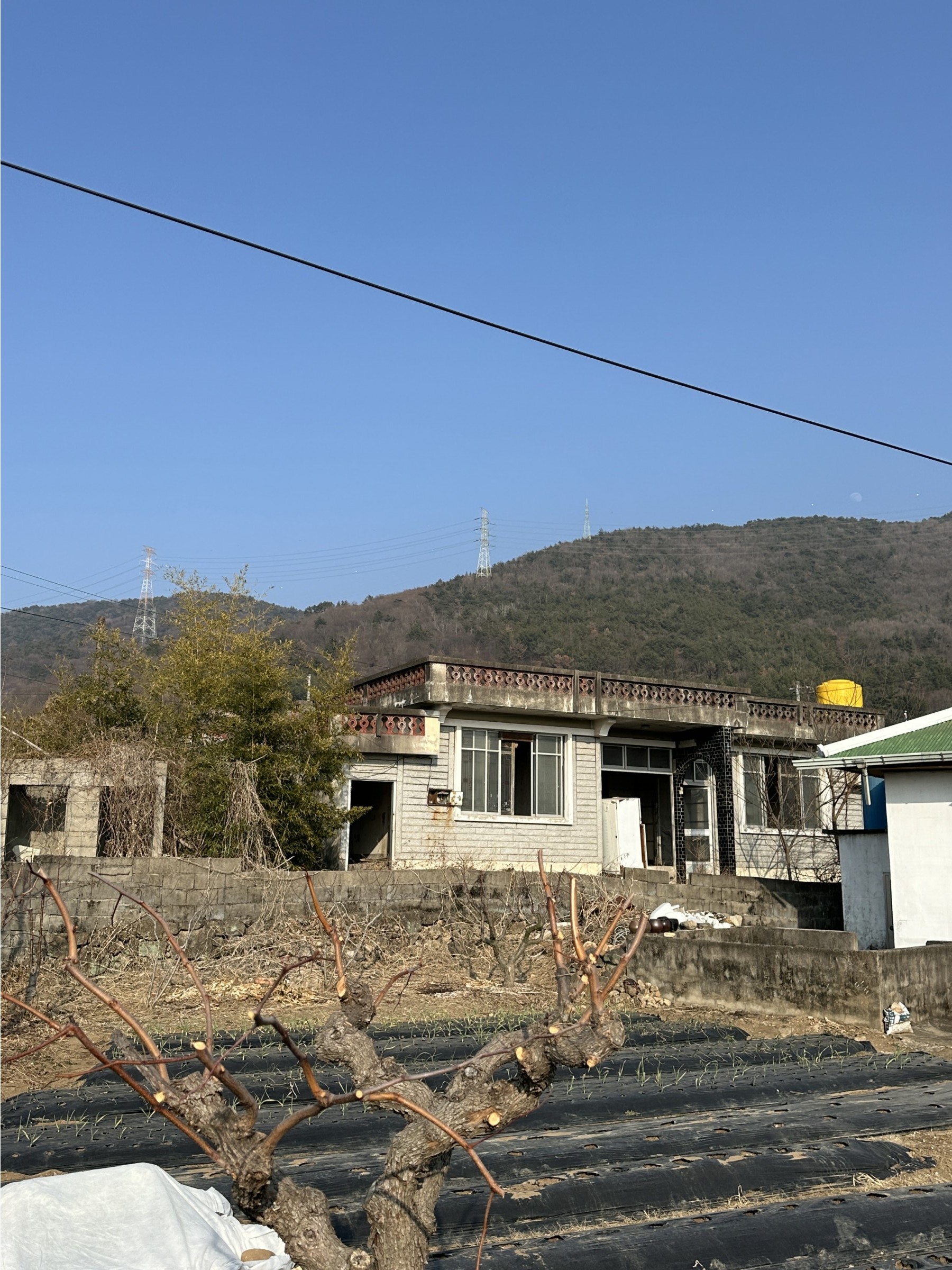 사진 1