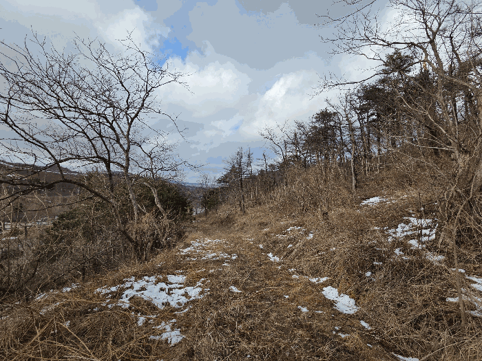 사진 1