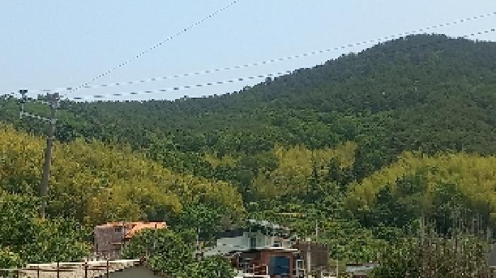 사진 1