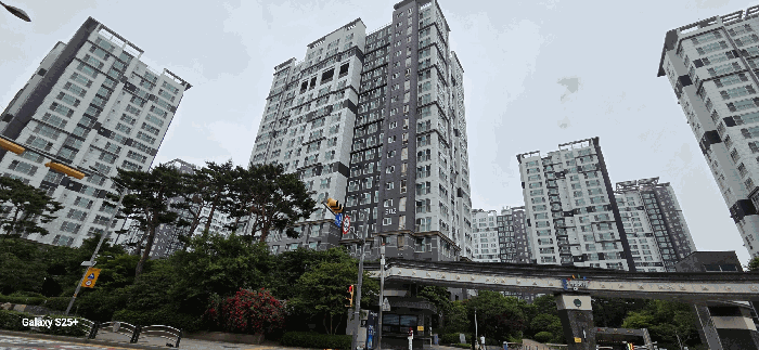 사진 10