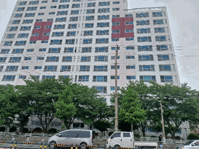 사진 5