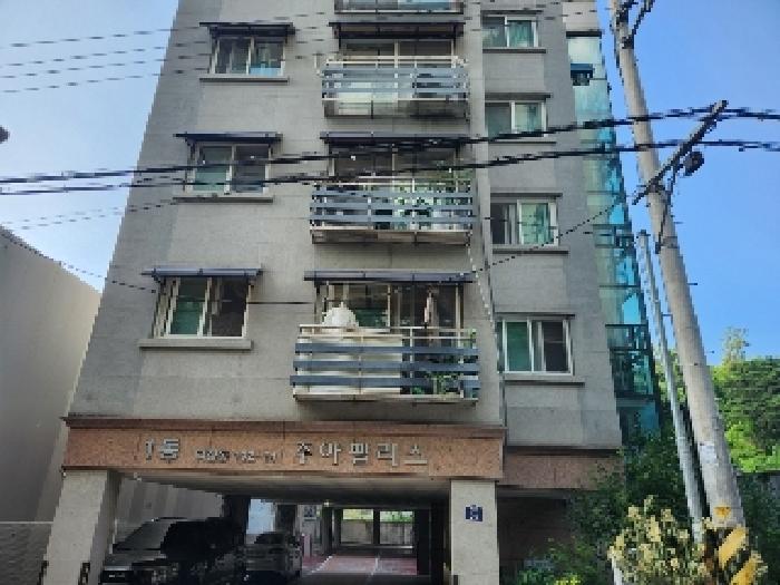 사진 10
