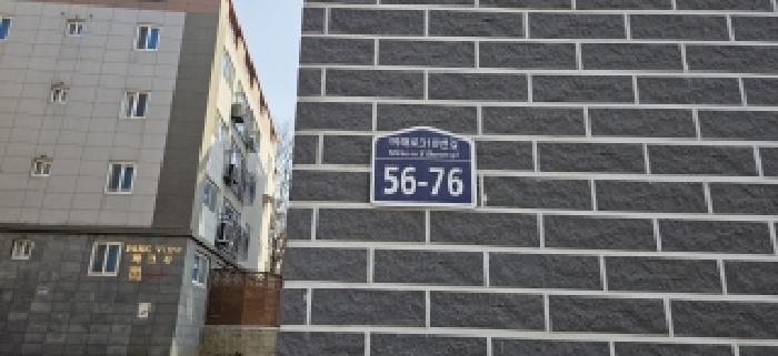 사진 11