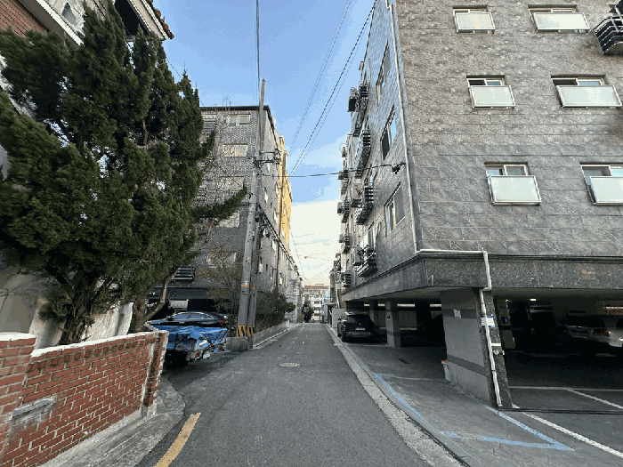 사진 10