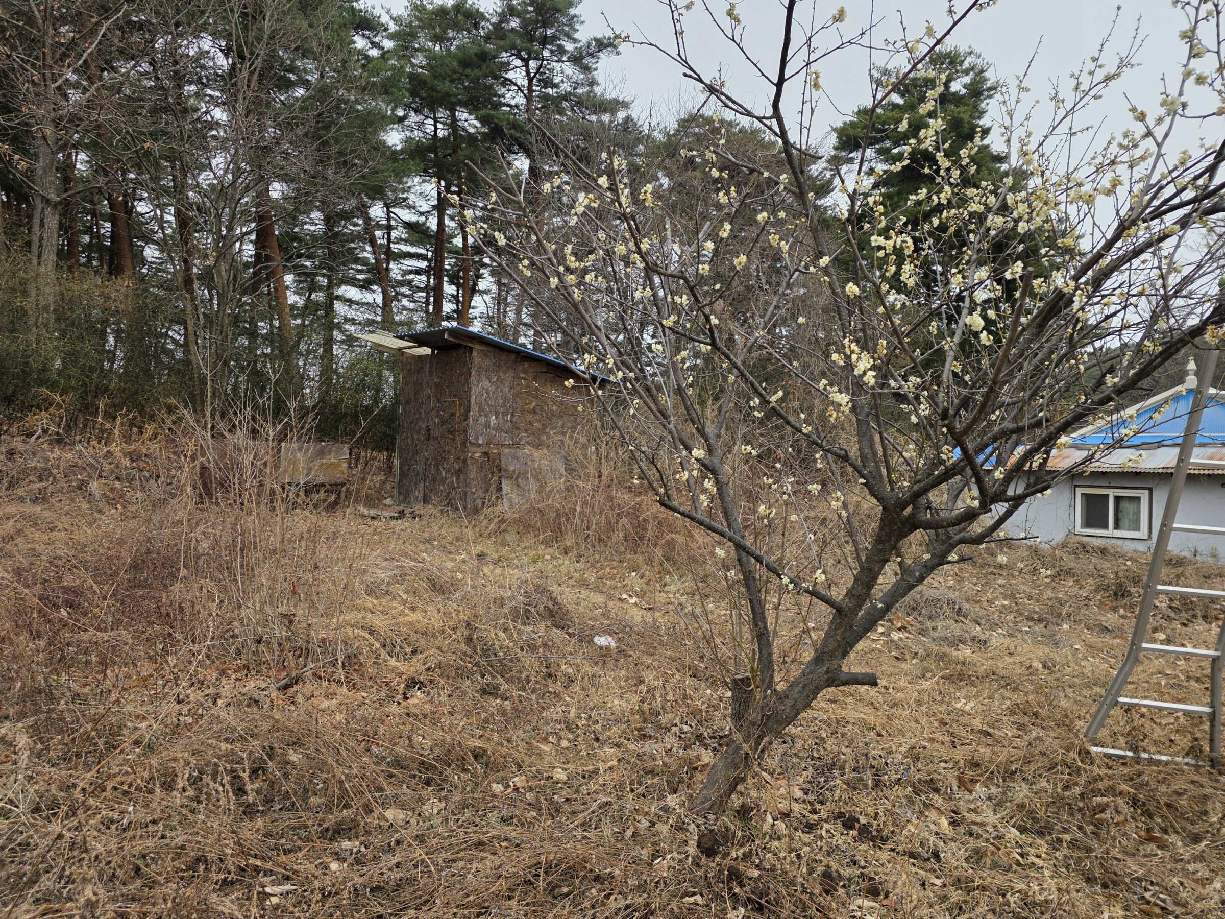 사진 1