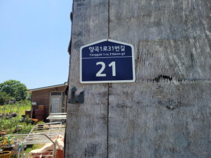 사진 17