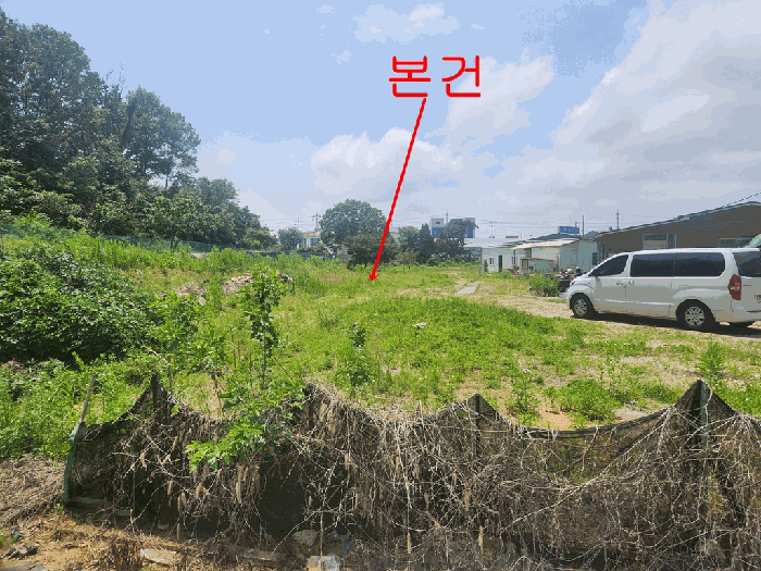 사진 3