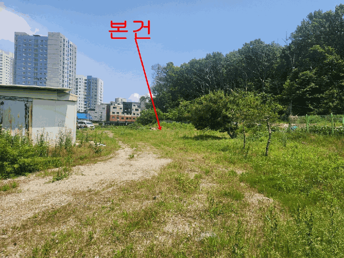 사진 7