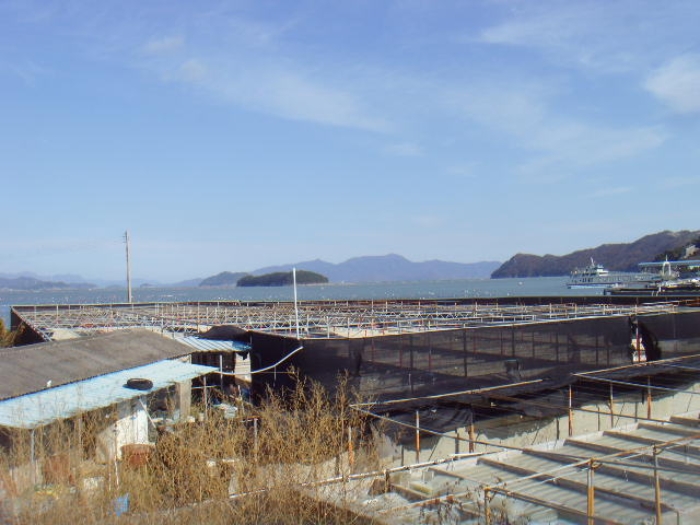 사진 3