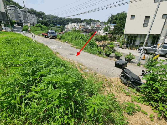 사진 18