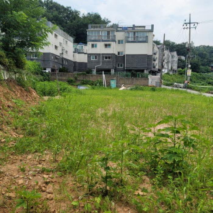 사진 8