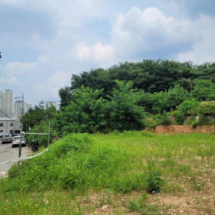 사진 9