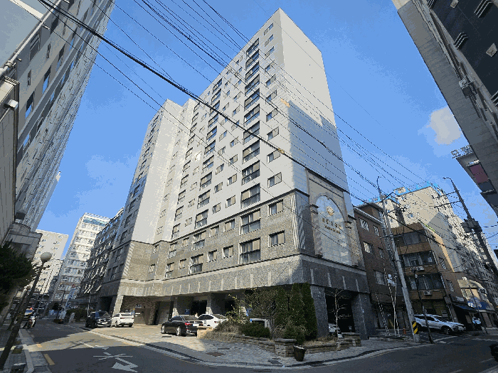 사진 1