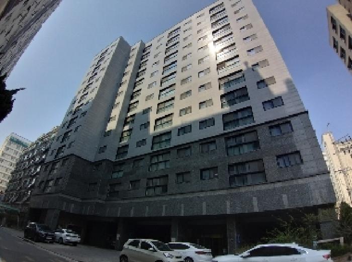 사진 9