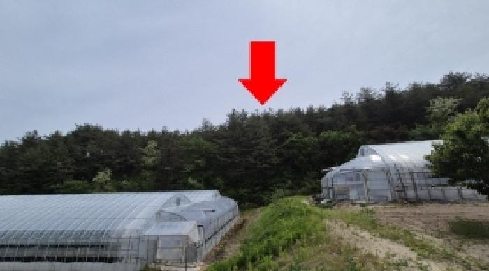 사진 1