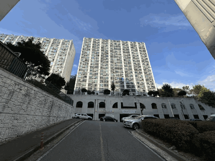 사진 7