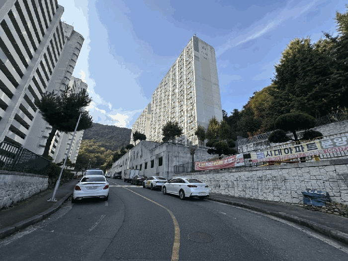 사진 8