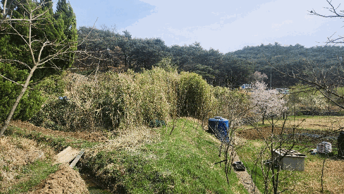 사진 1