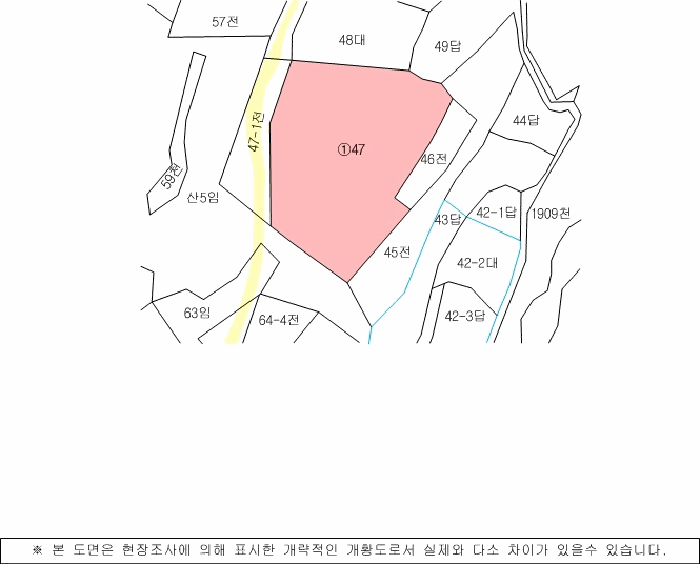 사진 9