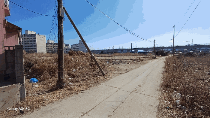 사진 15