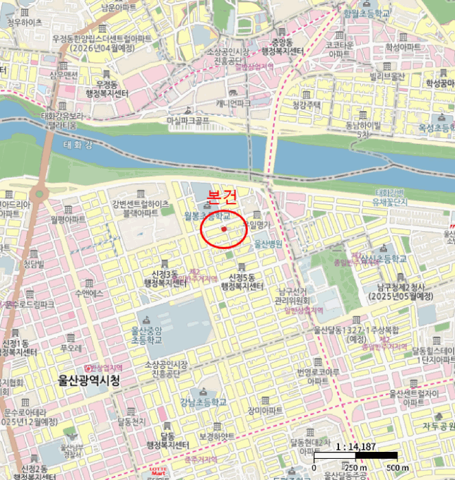 사진 6