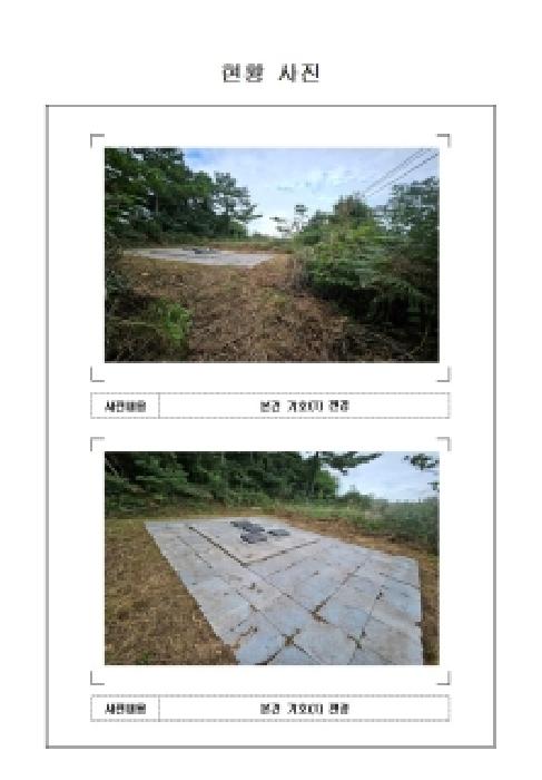 사진 4
