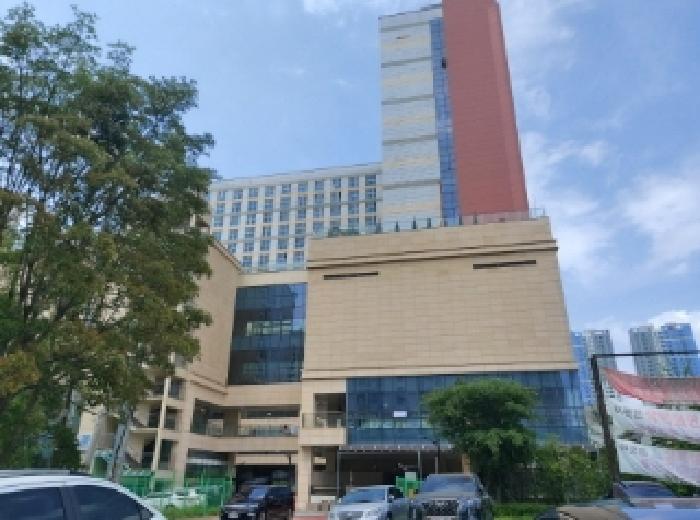 사진 2
