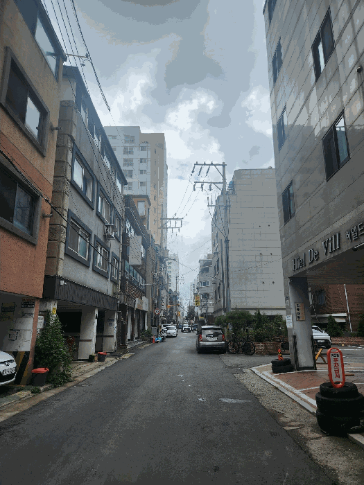 사진 4