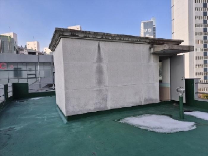사진 8
