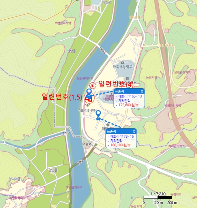사진 8