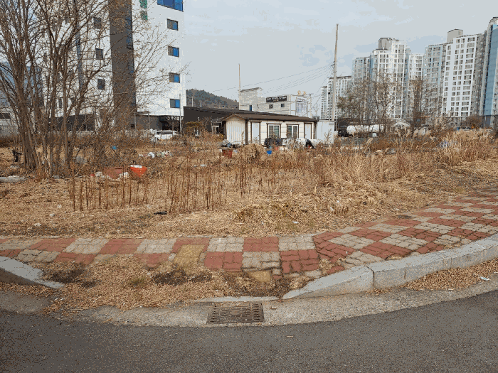 사진 12
