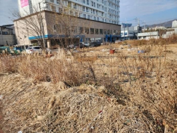 사진 4