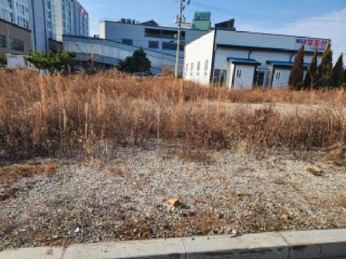 사진 7