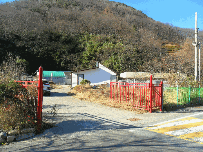 사진 1