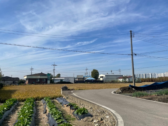 사진 10