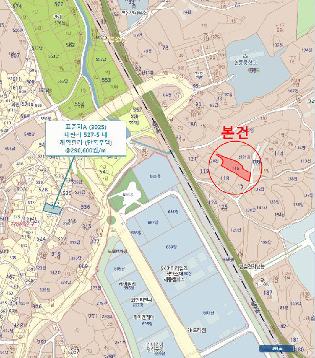 사진 11