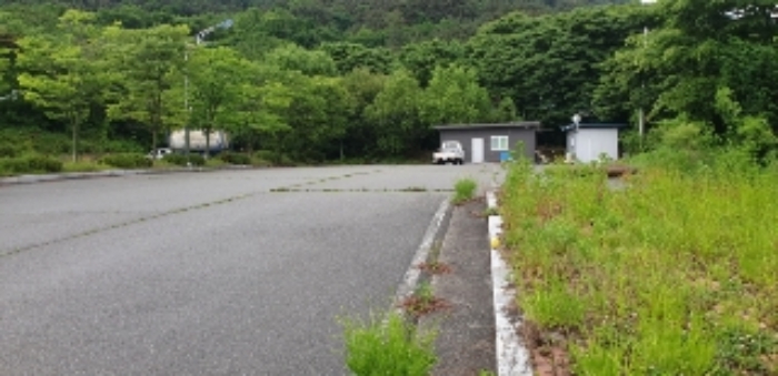 사진 3