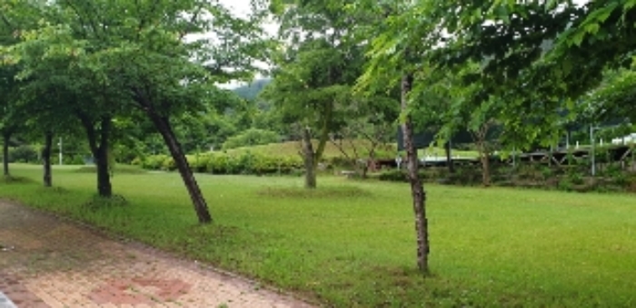 사진 6
