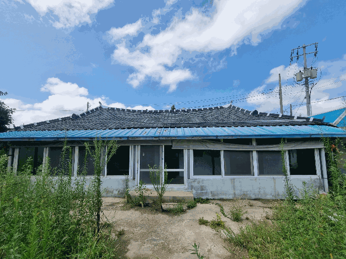 사진 7