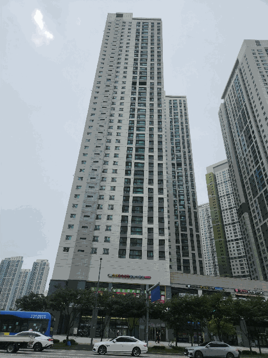 사진 9