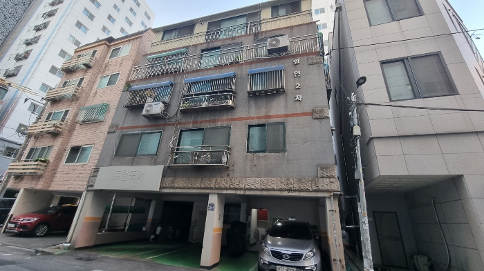사진 2