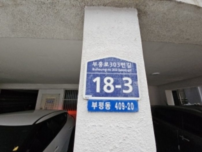 사진 12