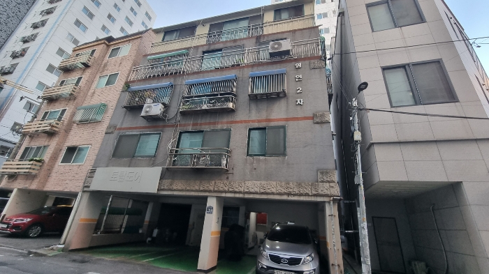 사진 5