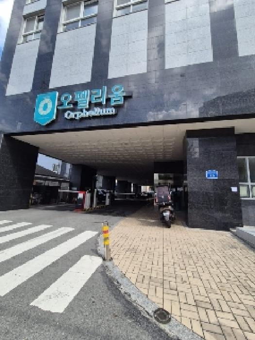 사진 3